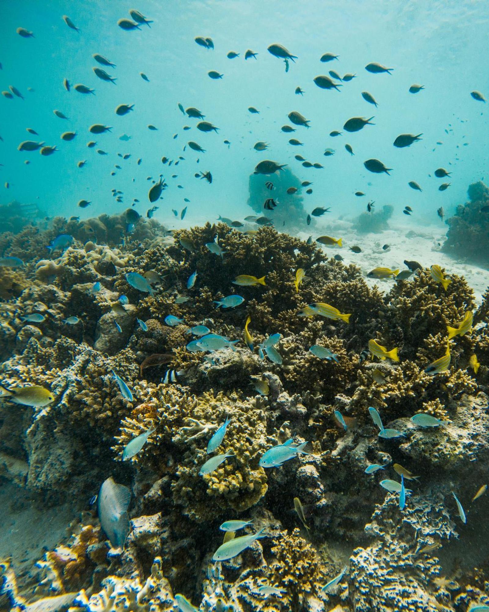 Grand Park Kodhipparu Maldives Hotel Baros Island Exterior photo